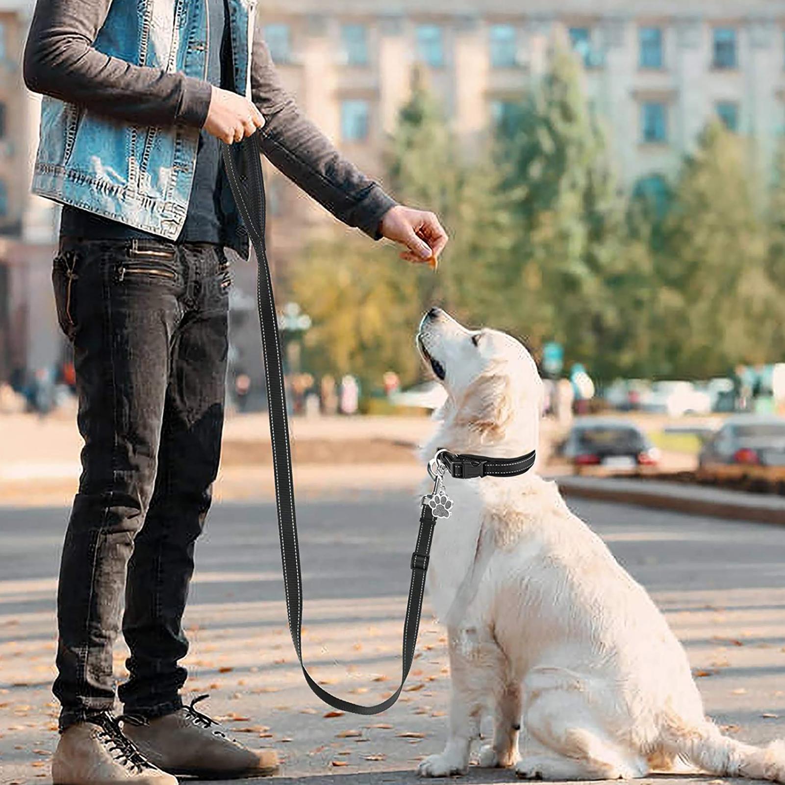 Dây buộc dắt chó đi dạo, độ dài có thể điều chỉnh, phù hợp nhiều kích cỡ thú cưng