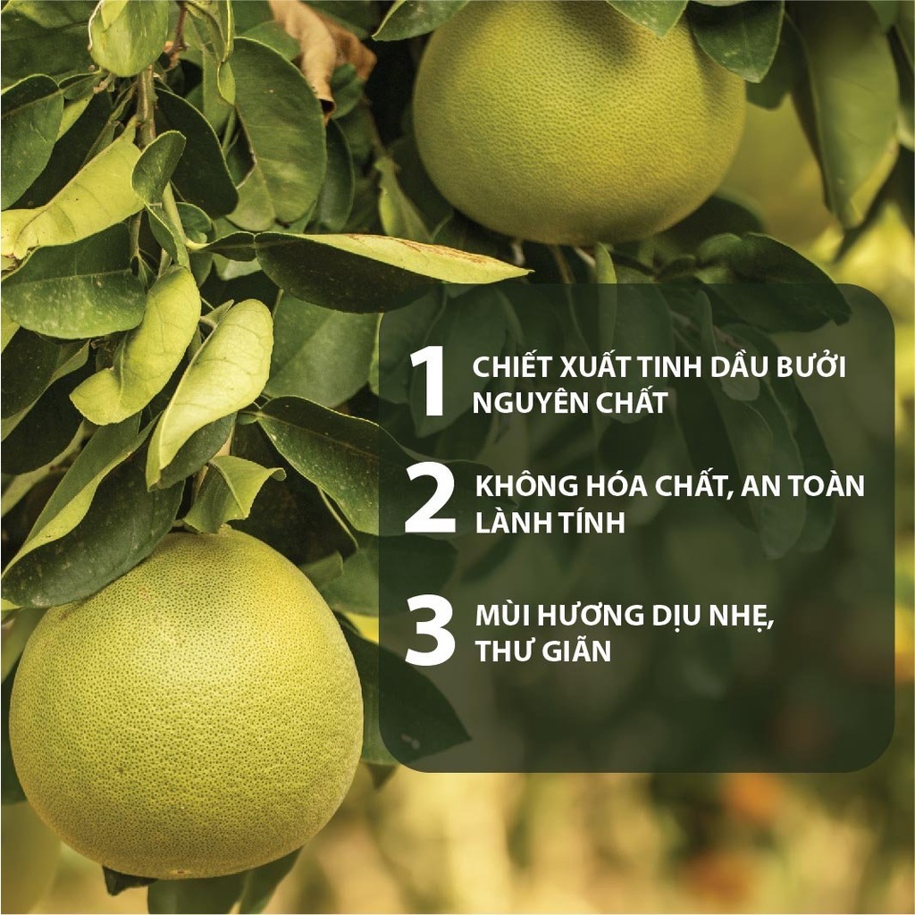 Combo Minisize Dầu Gội & Dầu Xả Bưởi Ngừa Rụng & Kích Thích Mọc Tóc Từ Tinh Dầu Bưởi Nguyên Chất MILAGANICS