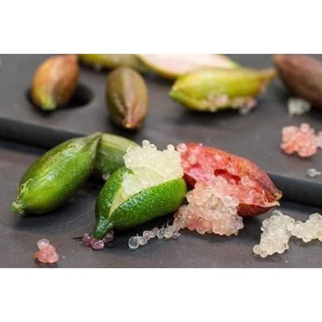 Chanh Ngón Tay tặng 2 cây chè xanh