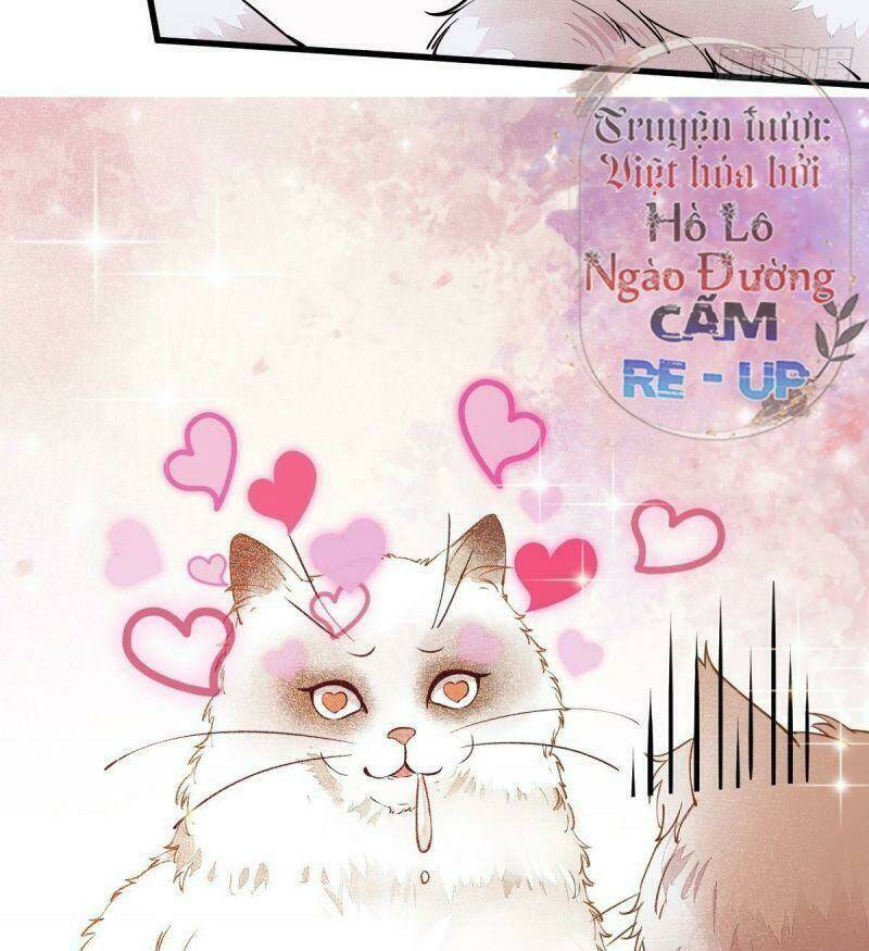 sát thủ vương phi không dễ chọc chapter 34 54