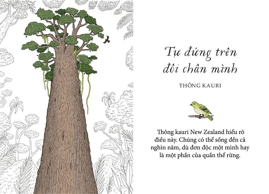 Sống Như Những Cái Cây - Những Bài Học Nhỏ Để Có Nguồn Hạnh Phúc Bất Tận (Tái Bản 2021)