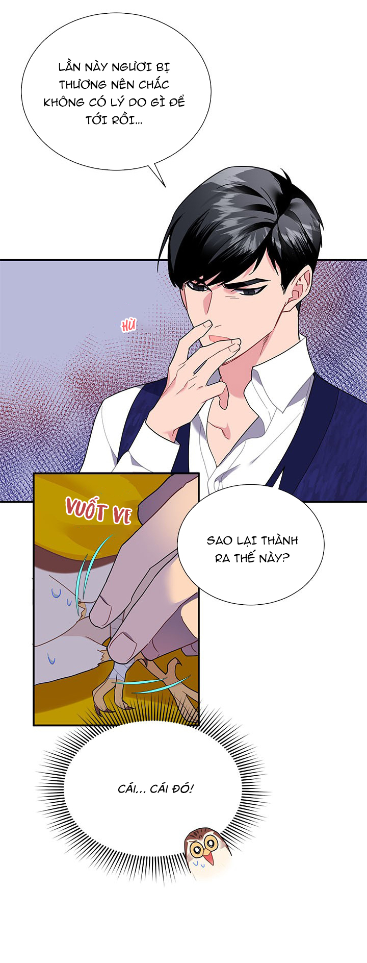 công chúa của loài chim chapter 16 47