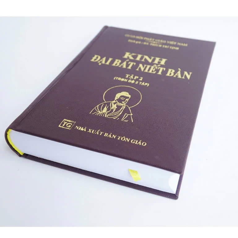 Sách - Kinh đại bát niết bàn ( bộ 2 tập )