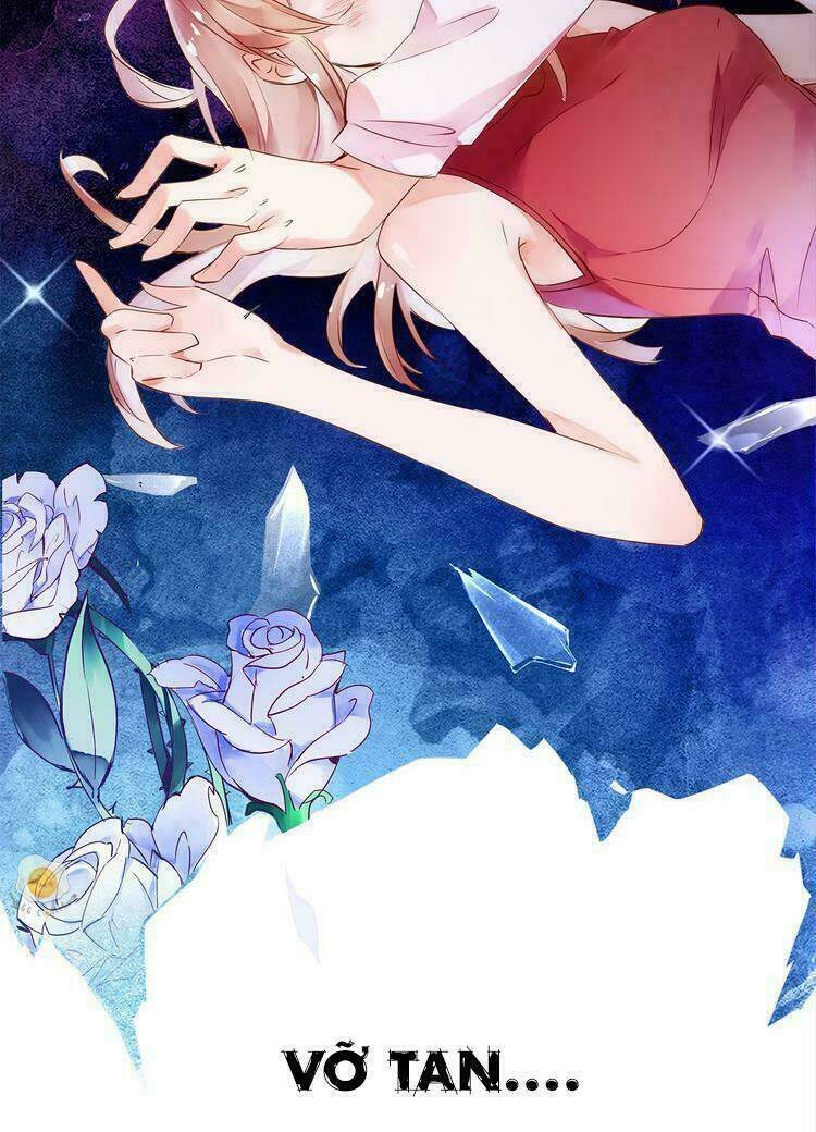 nở rộ trên bụi gai chapter 2 20