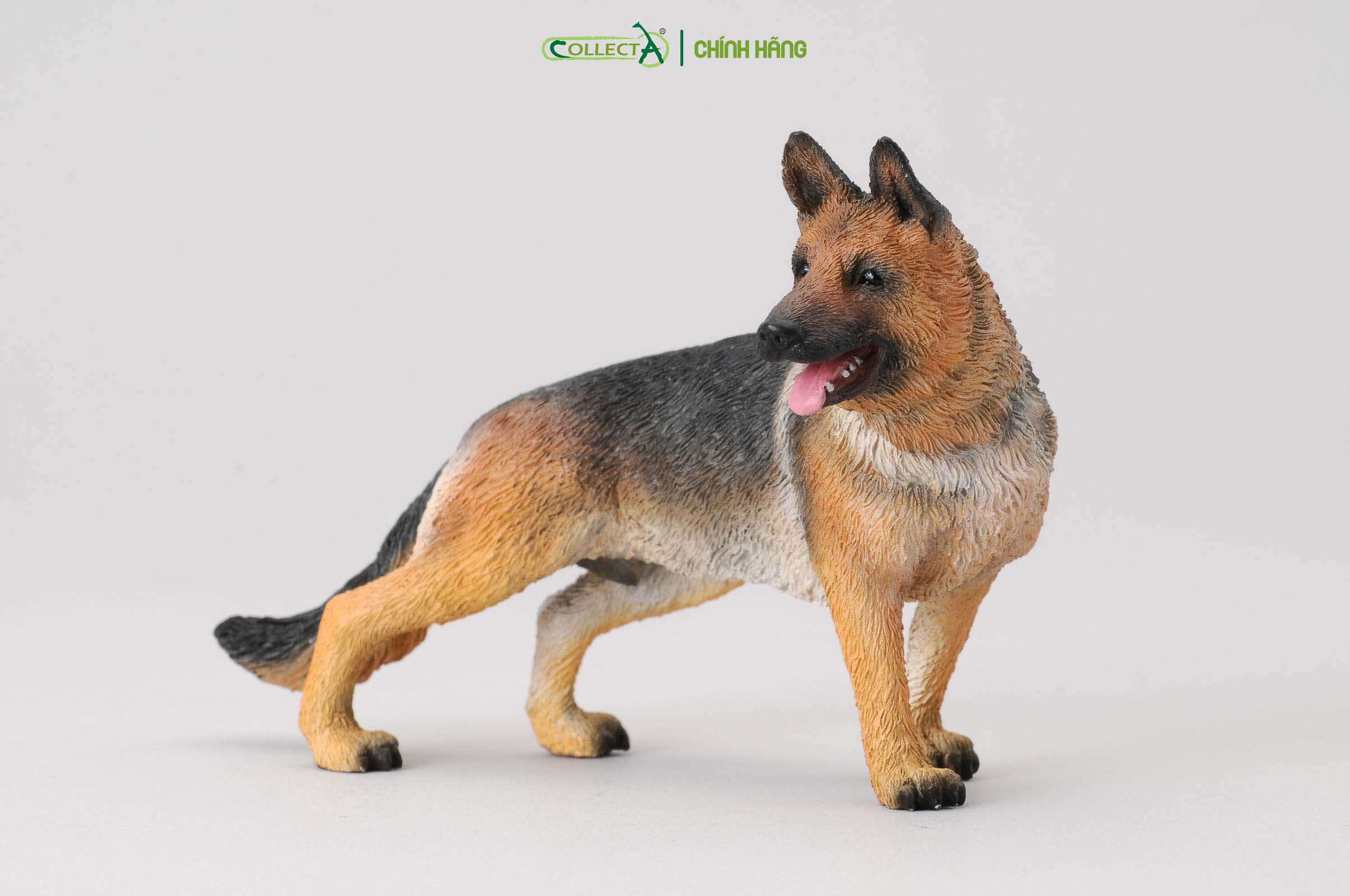 Mô hình thu nhỏ: Chó Shepherd - German Shepherd, hiệu: CollectA, mã HS 9650010[88552] -  Chất liệu an toàn cho trẻ - Hàng chính hãng