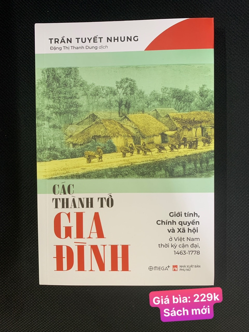 Các Thành Tố Gia Đình - Giới Tính, Chính Quyền Và Xã Hội Ở Việt Nam Thời Kỳ Cận Đại, 1463-1778 - Trần Tuyết Nhung - (bìa mềm)