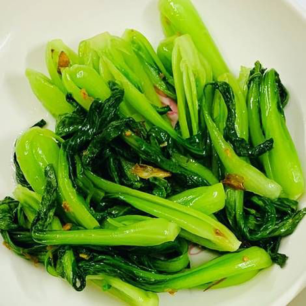 Hạt giống Rau Cải thìa F1 - Nảy mầm cao Titapha