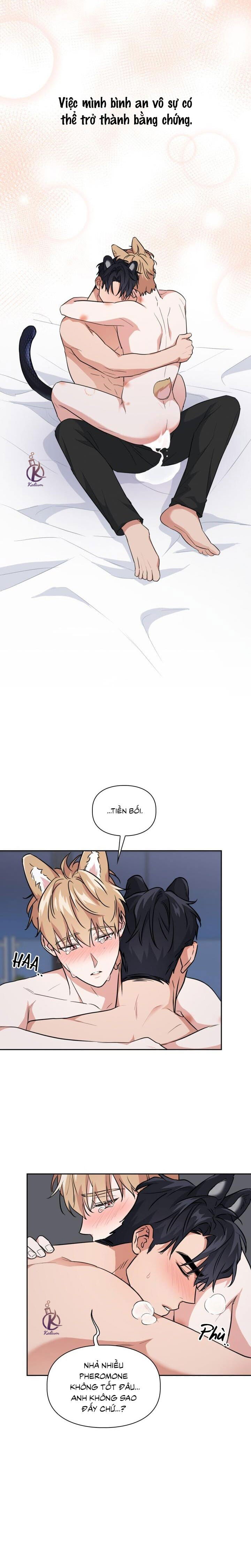 mồi nhử chapter 64 11