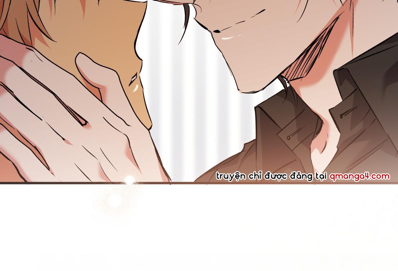 những chú thỏ của hapypy chapter 57 138