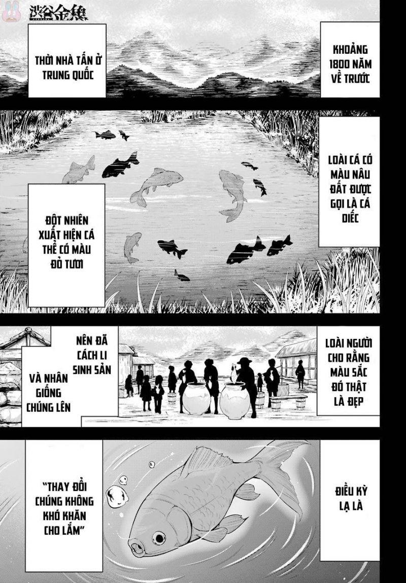 shibuya kingyo chapter 15 1