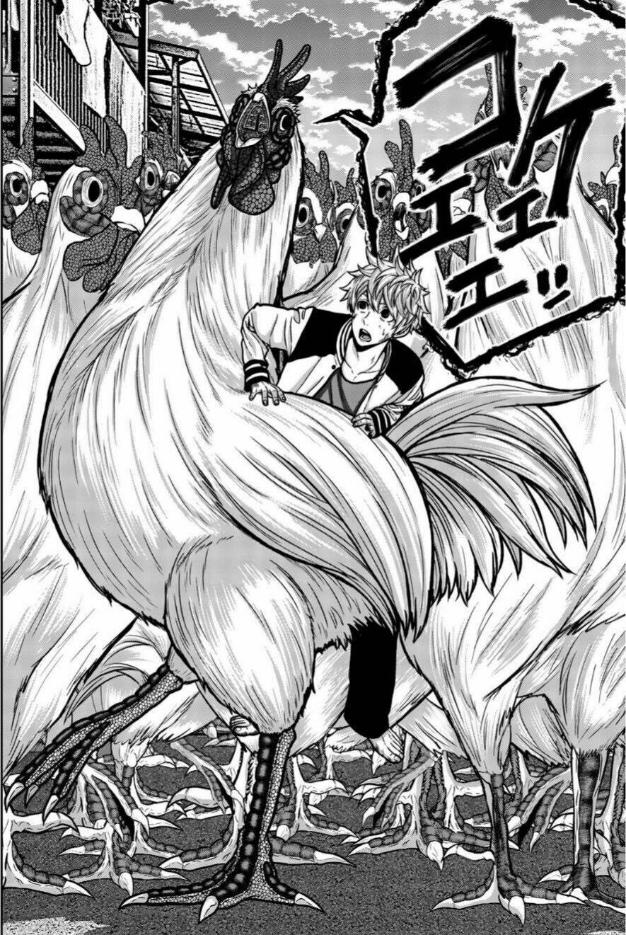 tiếng gáy sát thủ chapter 15 2