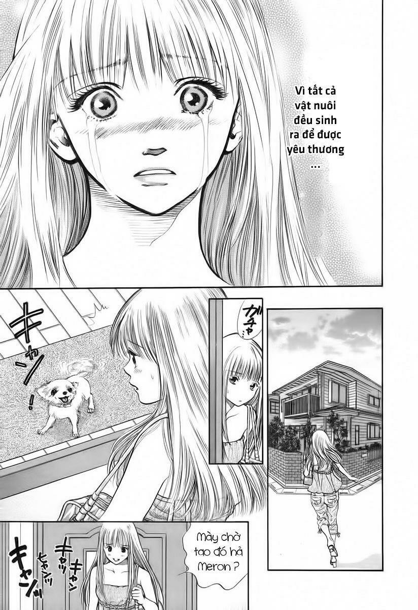 cô nàng yêu chó chapter 39 10