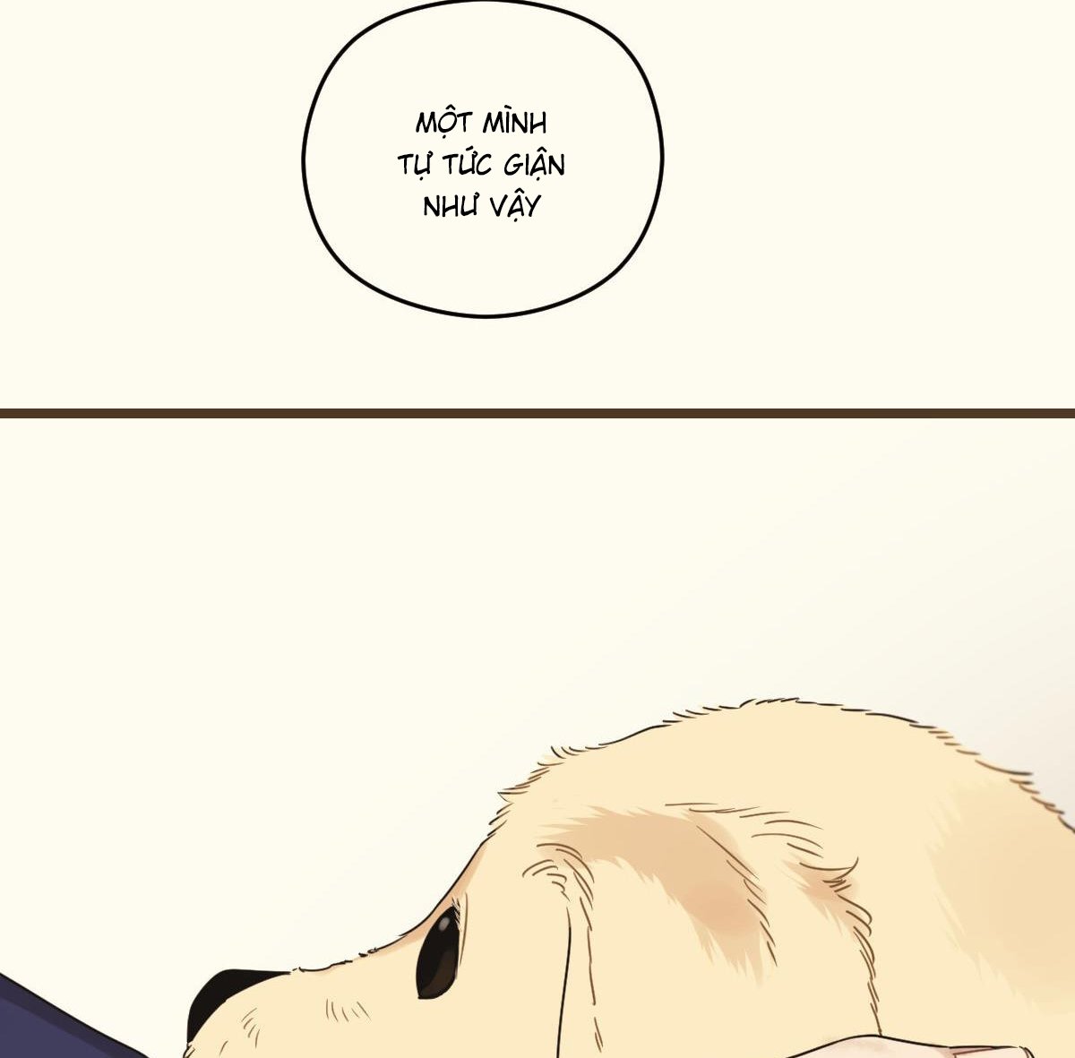 tương phùng chapter 38 46