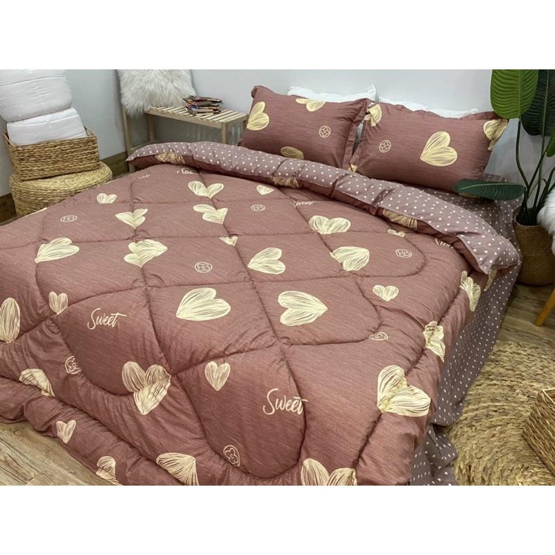Bộ chăn ga cotton poly trần bông, nằm êm mềm mát