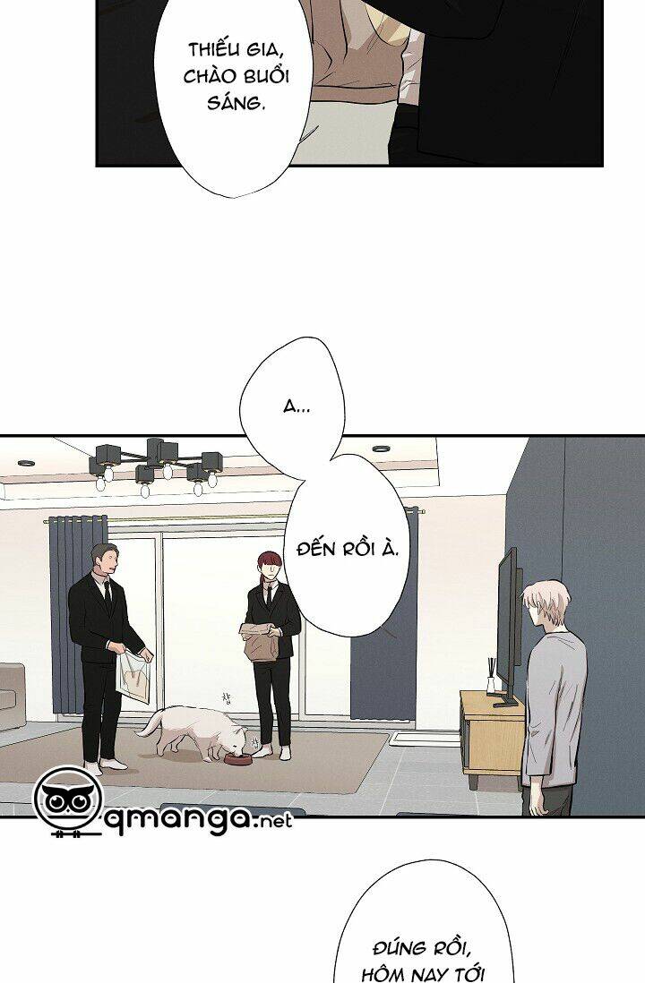 trốn tìm chapter 19 7