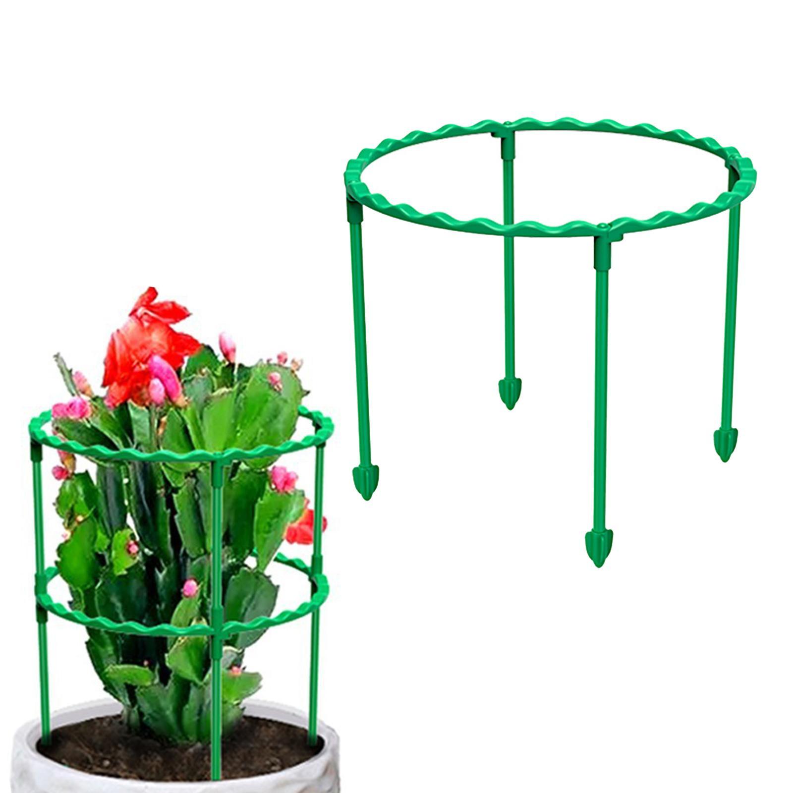 Tomato Growing Cage Garden Plant Support Stakes for Potted Plants Vines Pots