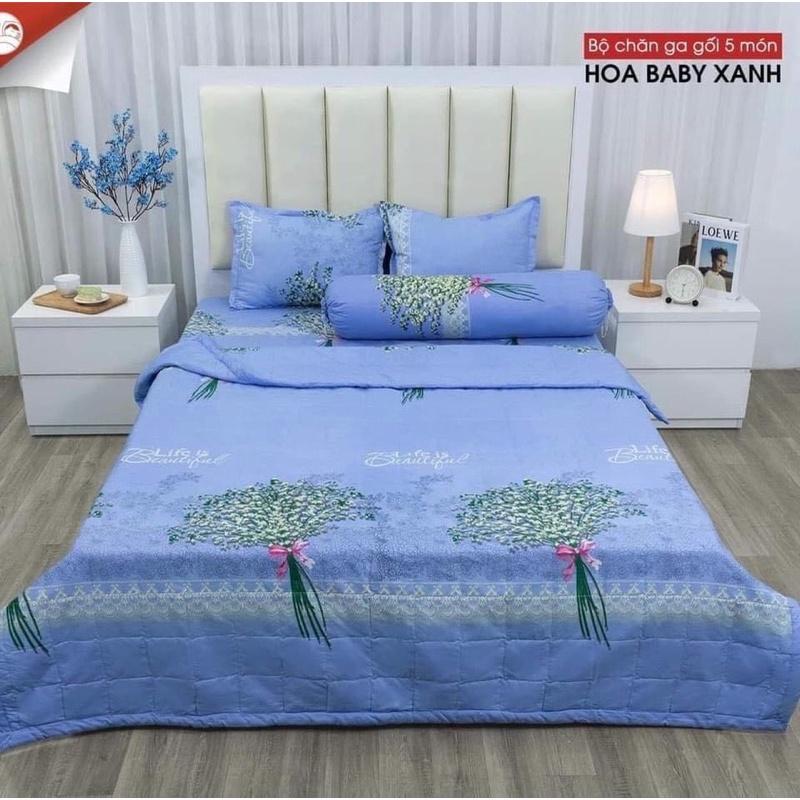 Chăn ga gối - Bộ drap 5 món cotton poly nhiều mẫu đủ size