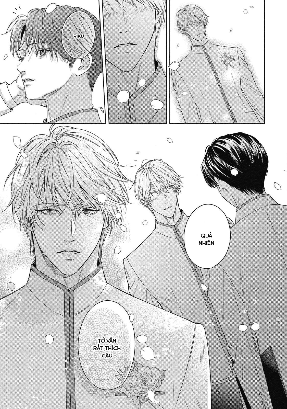 cô dâu của alpha chapter 28 8