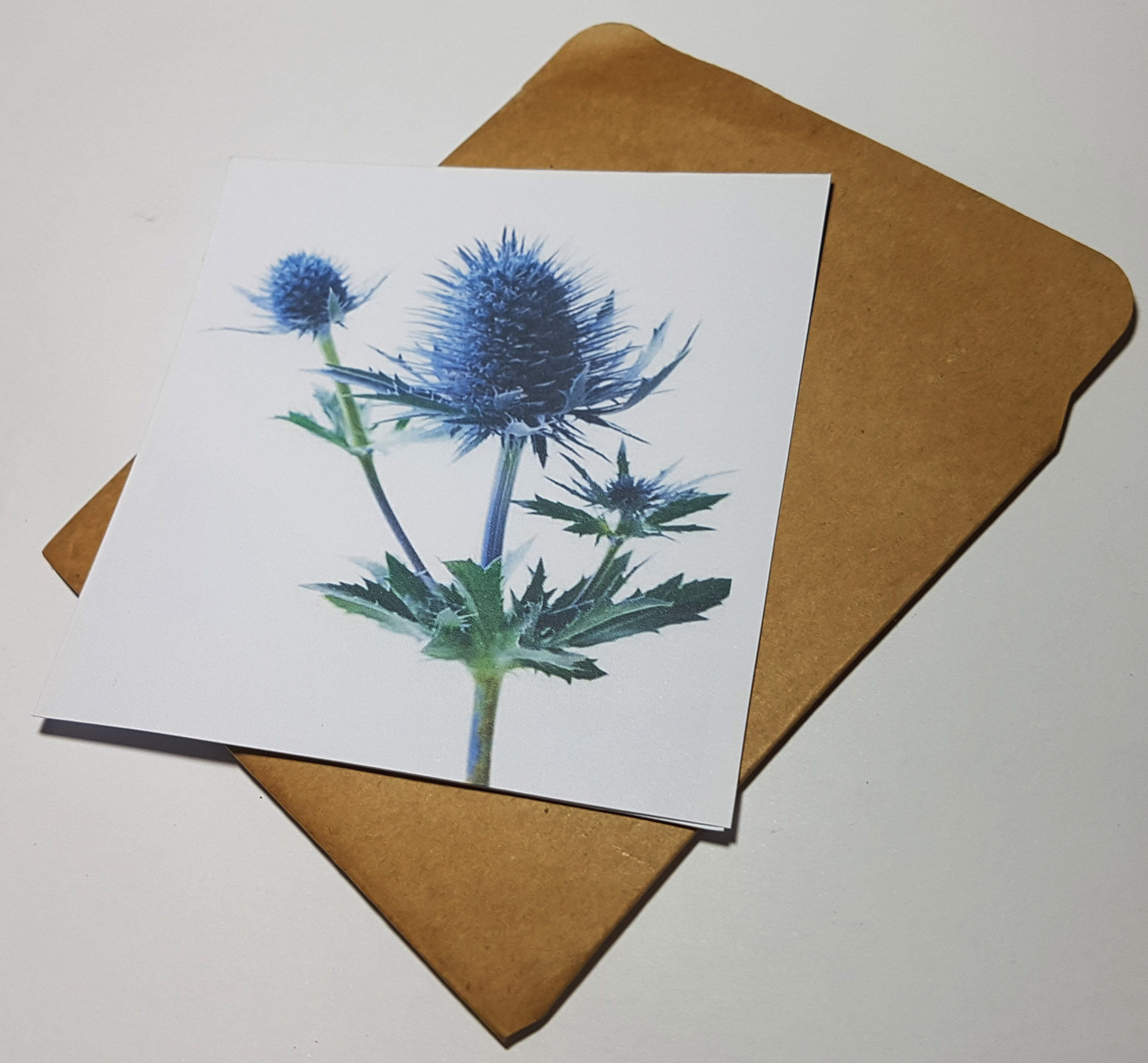 Thiệp phong cách Vintage card quà cám ơn ,chúc mừng sinh nhật và giử tặng người thân yêu.