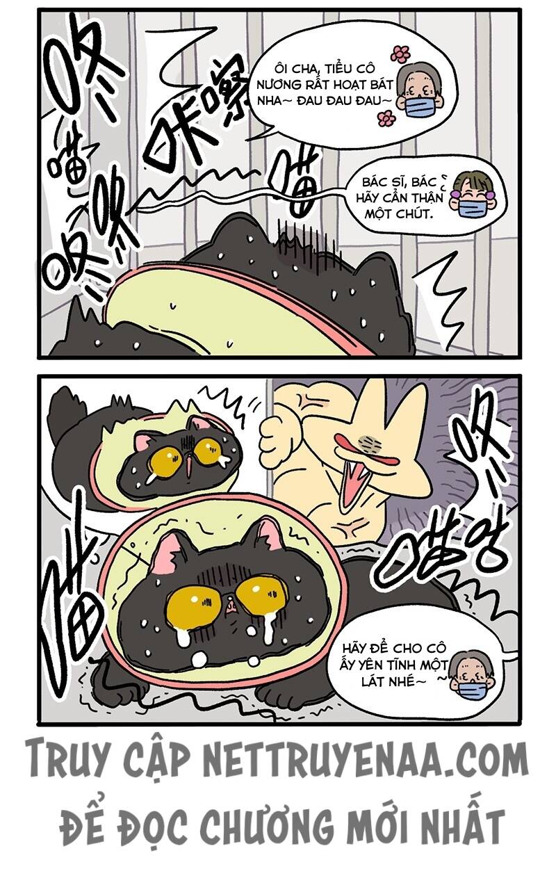 a mãn và mạch trà chapter 18.2 6