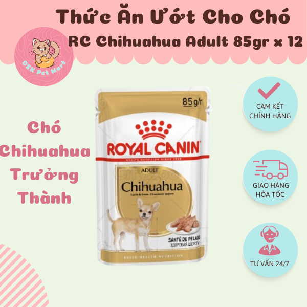 Royal Canin Chihuahua Adult Wet - Thức Ăn Ướt Cho Chó Chihuahua Trưởng Thành