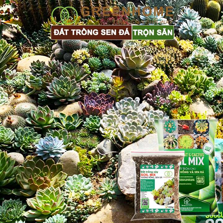 Đất Trồng Sen Đá Greenhome, Bao 6kg, Soil Mix, Trộn Sẵn, Tiện Lợi, Đầy Đủ Dinh Dưỡng, Thoát Nước Tốt, Cây Nhanh Lớn