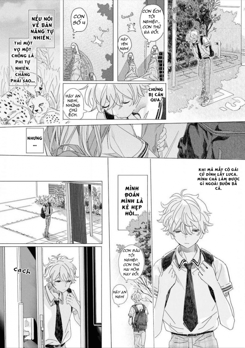 đất nước của những chú sư tử chapter 3 13