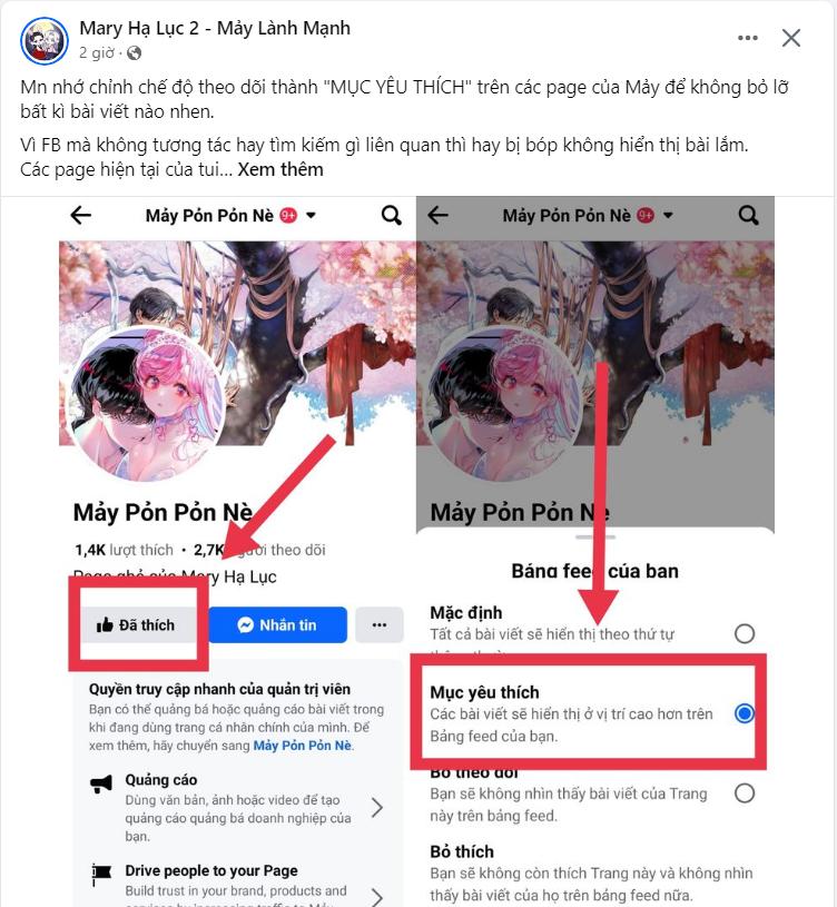Cạm Bẫy chapter 187.1 62