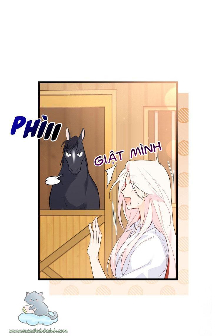 quan hệ cộng sinh giữa báo đen và thỏ trắng chapter 49 9