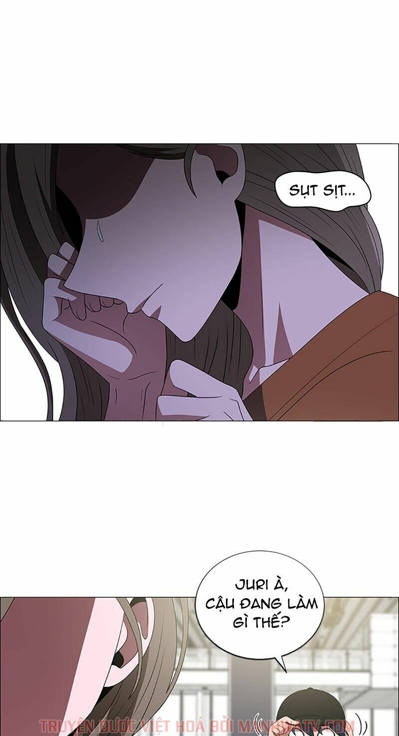 no scope chapter 105 2