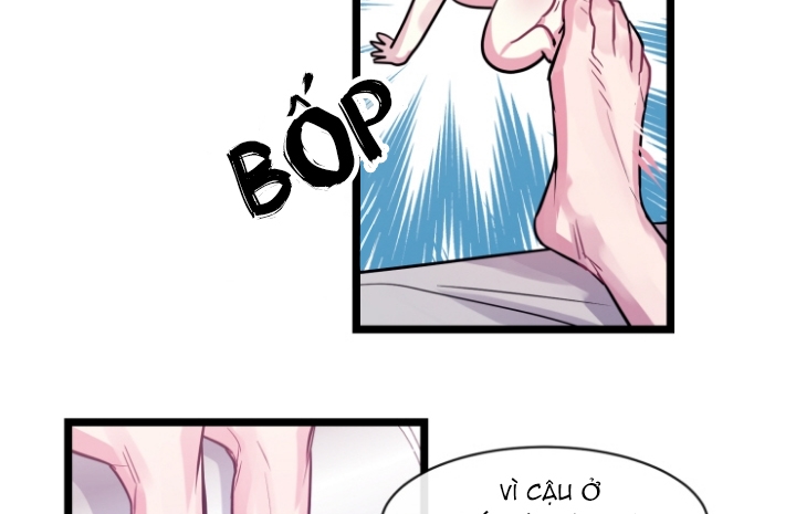 kiếp trước bí ẩn của giáo sư chapter 7 12