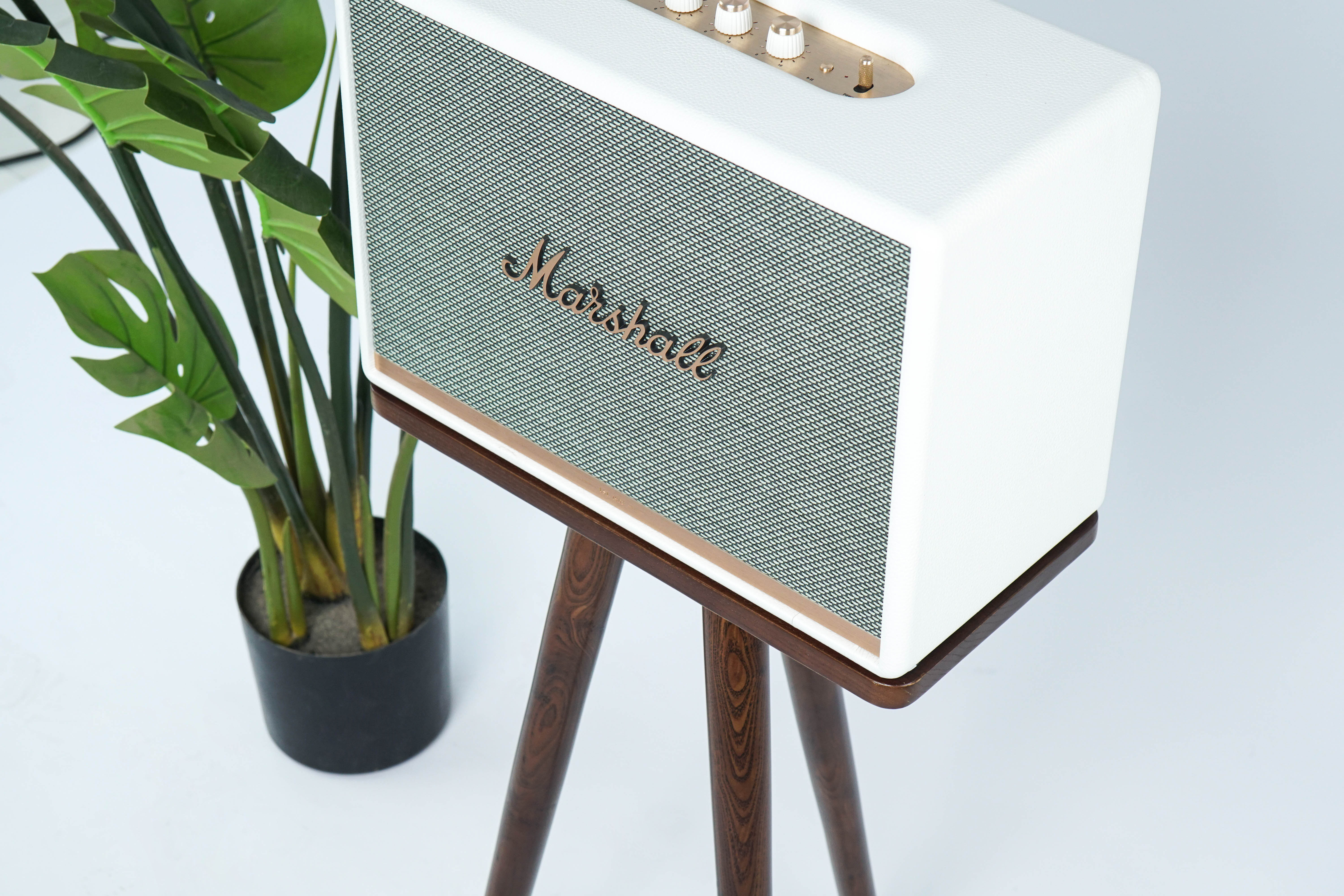 Chân loa Marshall Hyperwork Kaiser gỗ Tần Bì - Hàng Chính Hãng