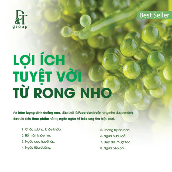 Rong Nho Tươi Tách Nước Okinawa 240g (12 gói x 20g) (Mẫu mới) - Thần Dược Đại Dương