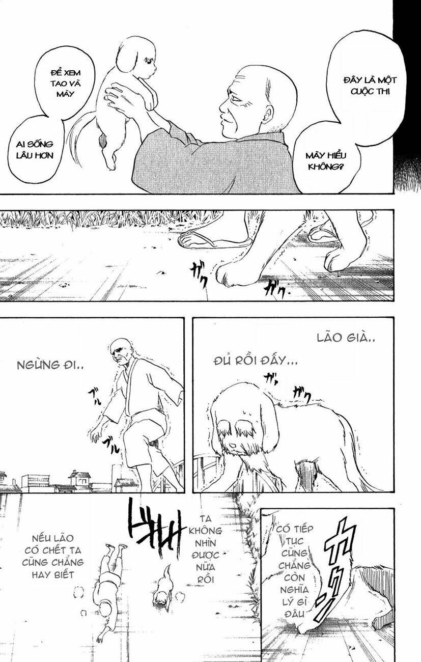 gintama - linh hồn bạc chapter 209 17