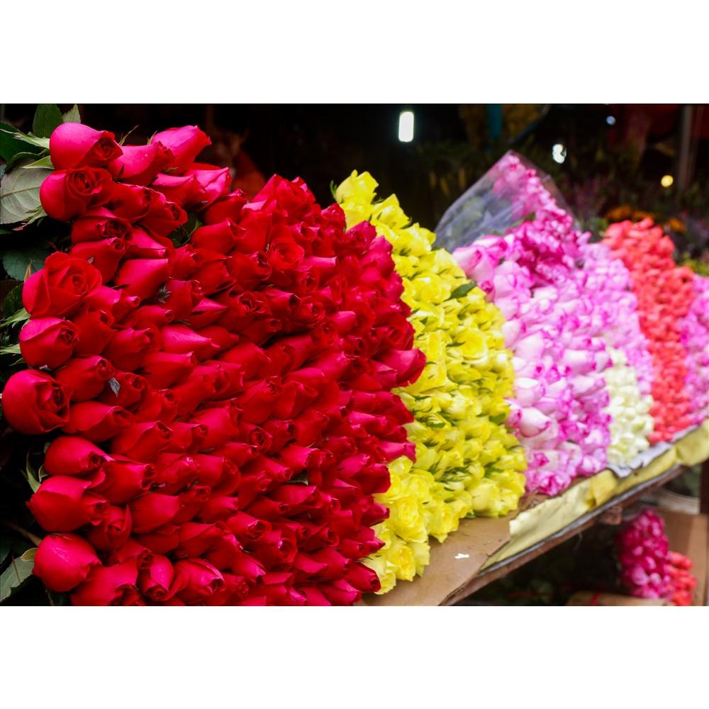 SET 10 Gói Dưỡng Chất Cho Hoa Lâu Tàn KIF FLORA FRESH
