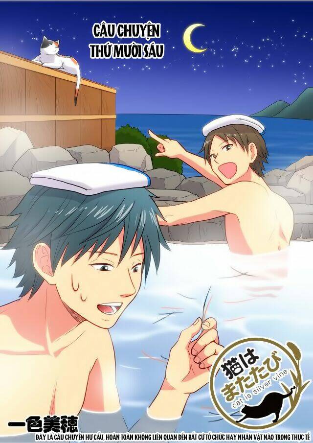 cat is silver vine chapter 16 1