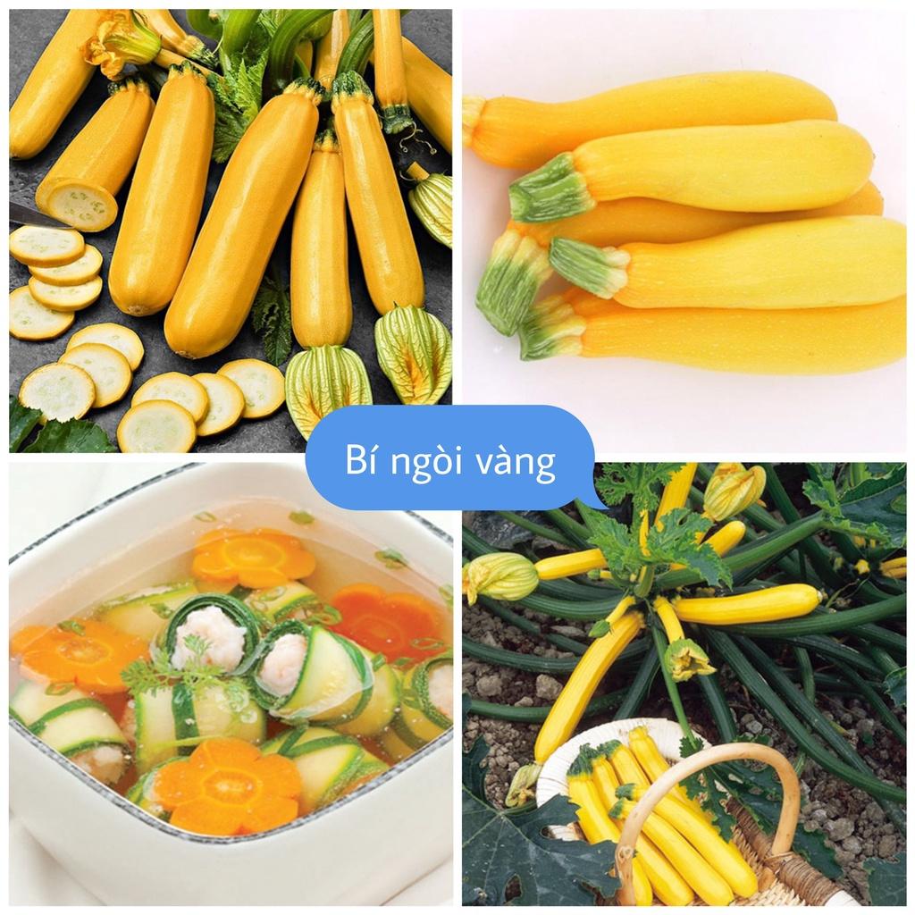 Hạt Giống Bí Ngòi Vàng Siêu Trái