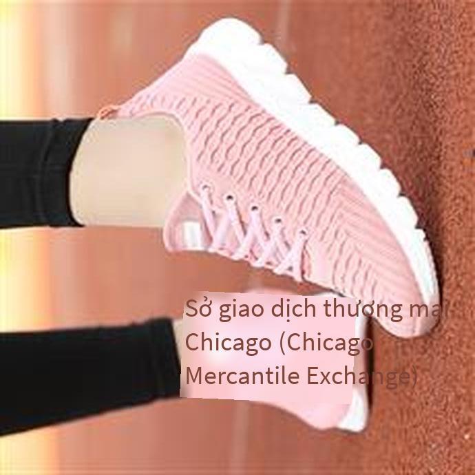 Giày nữ phong cách mới nhất giày cổ tích phiên bản Hàn Quốc giày lưới tăng chiều cao màu đỏ đảm bảo chất lượng giày đôi