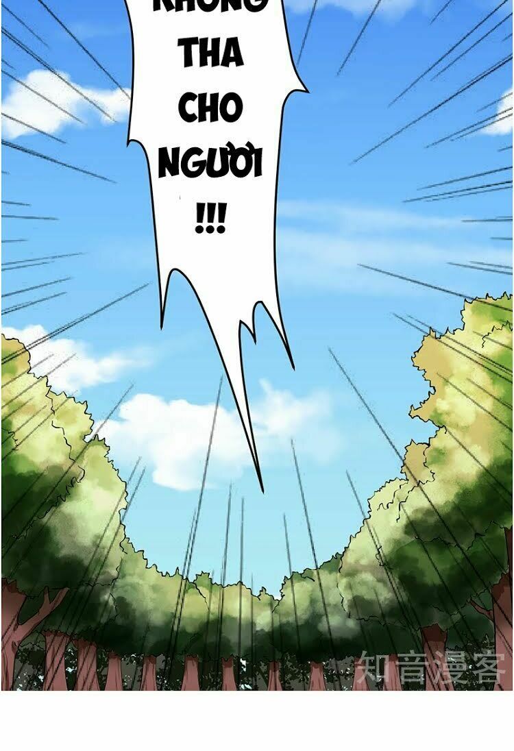 võ đạo độc tôn chapter 5 43