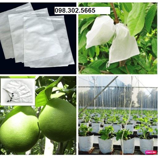 200 túi bao trái cây loại to Ánh Dương kích thước 30x30cm