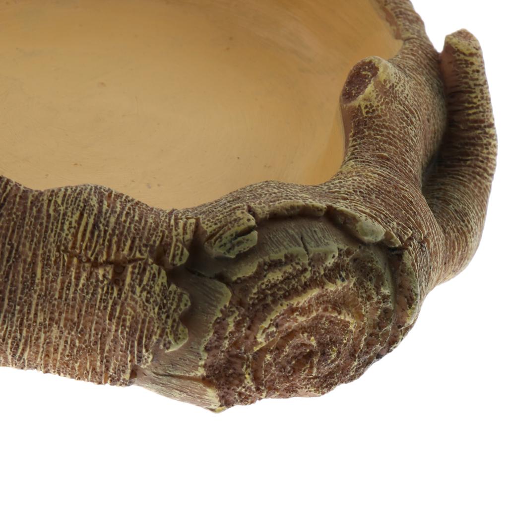 Reptile Terrarium Drinking Basin Pet Reptile Feeding Bowl Food Water Dish 1