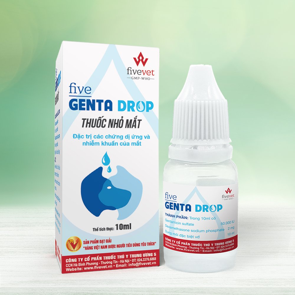 Five Genta Drop thuốc nhỏ mắt chuyên các chứng dị ứng và nhiễm khuẩn của mắt