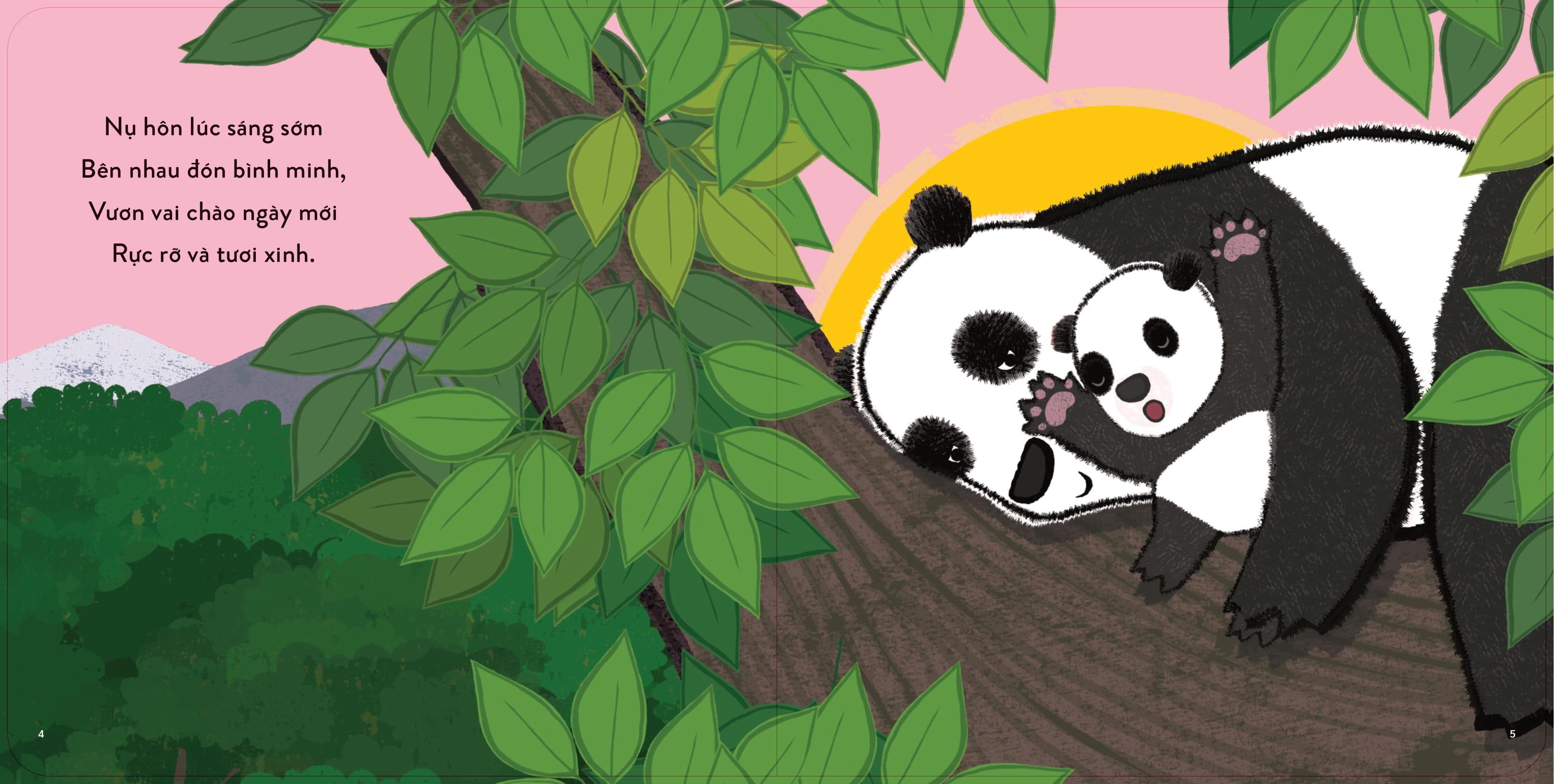 Sách - Thủ Thỉ Cùng Con - Những Điều Nhỏ Bé