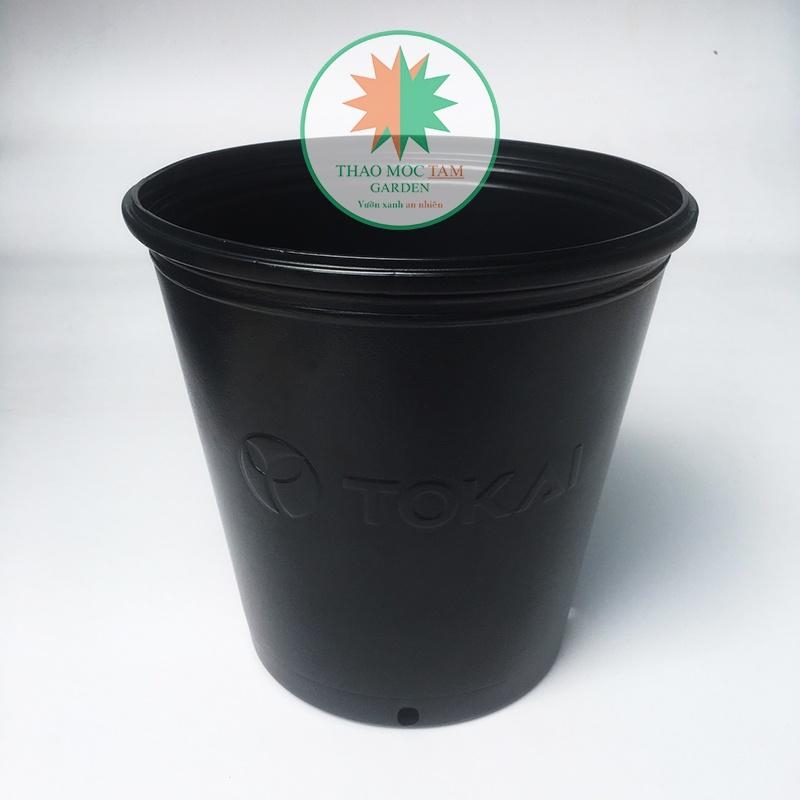 05 Chậu Trồng Cây 24x24cm TOKAI – Chậu to trồng cây chất lượng Nhật
