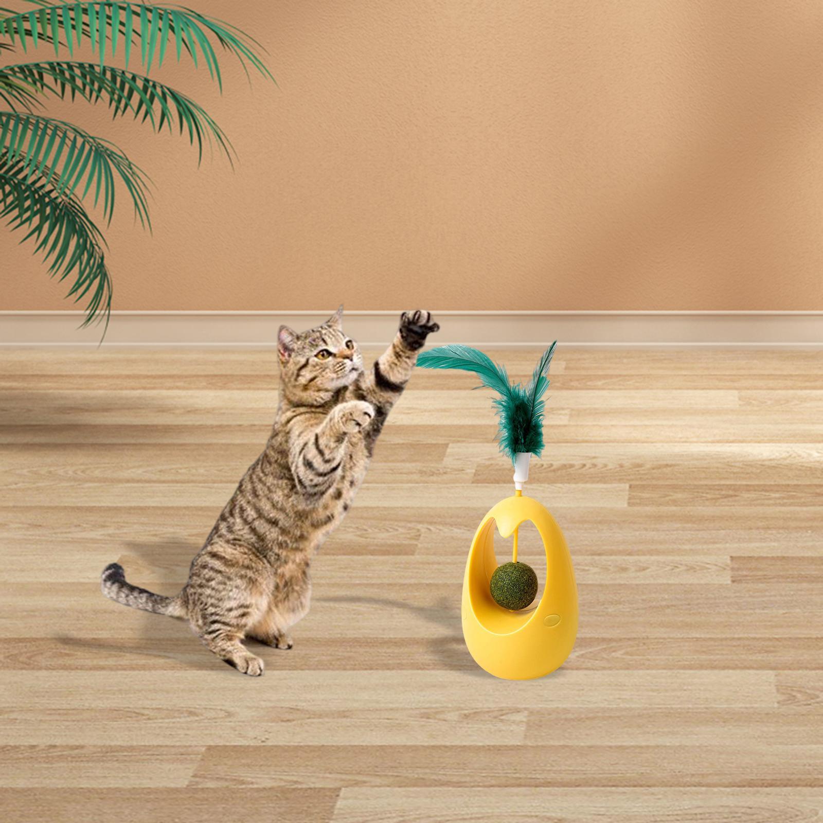 Interactive Cat Toys Pet Toy with Catnip Balls for Cats and Kitten Training