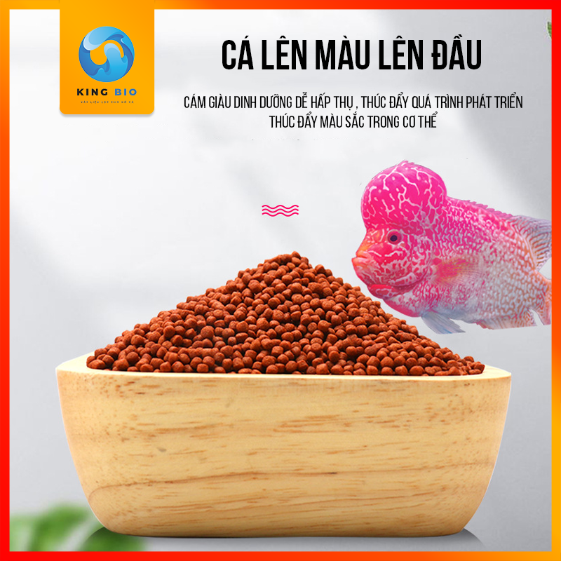 Cám cho cá La Hán - Thức ăn hỗ trợ lên màu, lên đầu và giàu Vitamin cho Cá La hán