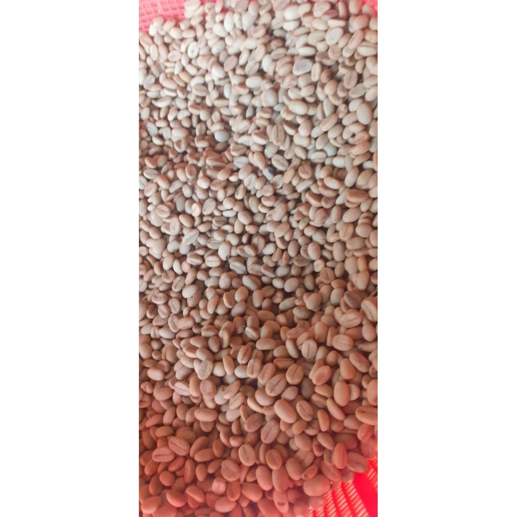 Hạt giống cà phê TR4