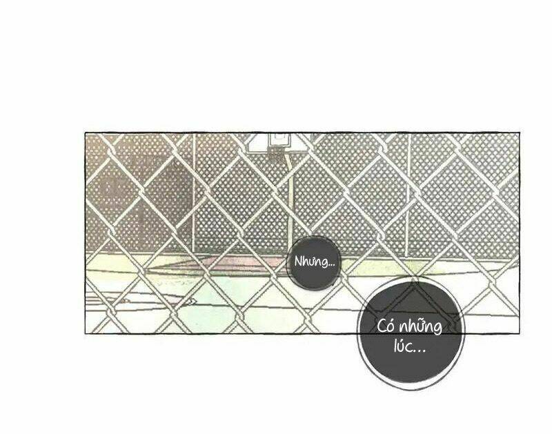 bắt đầu từ 1 lời nói dối chapter 0 19