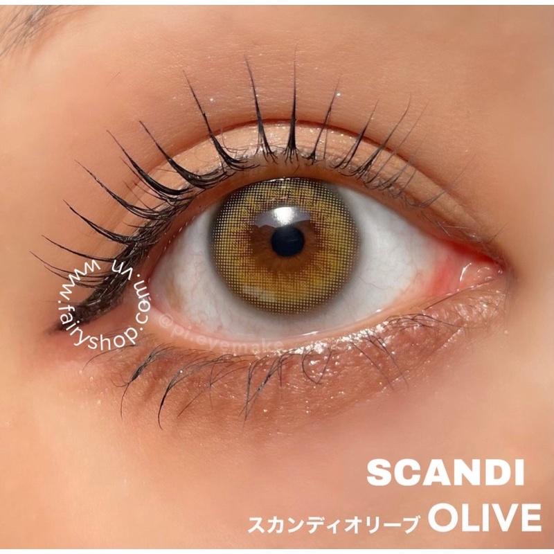 1 chiếc Kính Áp tròng Scandi Olive 14.0MM - Kính Áp Tròng FAIRY SHOP CONTACT LENS độ 0 đến 8