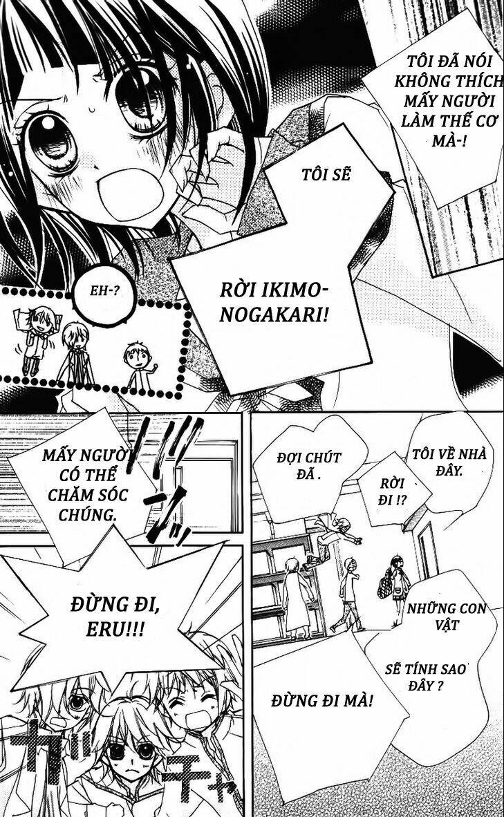 1-nen 5-kumi ikimono gakari chapter 4 6
